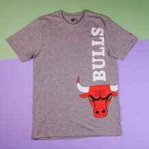 Футболка New Era NBA Chicago Bulls T-Shirt / grey