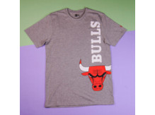 Футболка New Era NBA Chicago Bulls T-Shirt / grey