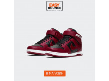 Кроссовки Nike SB Mogan Mid 2 JR / red, black