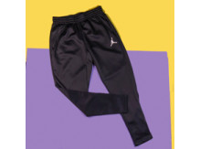 Штаны Jordan 360 Fleece Pants / dark grey