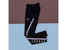 Штаны Air Jordan Dry 23 Alpha Training / black, white