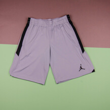 Шорты Air Jordan Dri-FIT 23 Alpha Training /dark grey