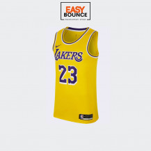 Джерси Nike LeBron James LAL Icon Edition / yellow