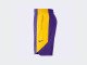 Шорты  Nike Dry NBA Practice Shorts Los Angeles Lakers