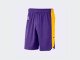 Шорты  Nike Dry NBA Practice Shorts Los Angeles Lakers