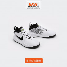 Кроссовки Nike Team Hustle D 9 GS / white