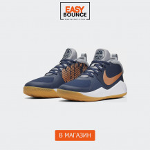 Кроссовки Nike Team Hustle D 9 GS / blue