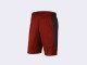 Шорты Air Jordan Dri-FIT 23 Alpha Shorts / red