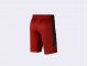 Шорты Air Jordan Dri-FIT 23 Alpha Shorts / red