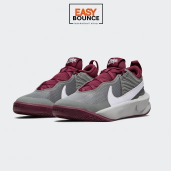 Кроссовки Nike Team Hustle D 10 / gray, burgundy