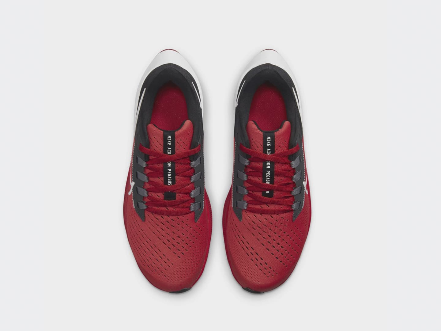 pegasus 38 red