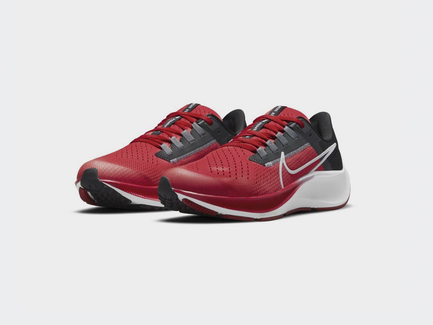 pegasus 38 red