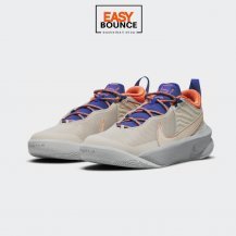 Кроссовки Nike Team Hustle D 10 SE / desert sand