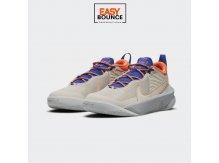 Кроссовки Nike Team Hustle D 10 SE / desert sand