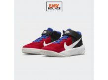 Кроссовки Nike Team Hustle D 10 FlyEase / red, black