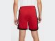 Шорты Jordan Sport Dri-FIT Men's Basketball Shorts / red