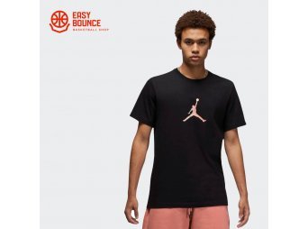 Футболка Jordan Sport DNA T-shirt / black