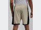 Шорты Jordan Sport Dri-FIT Men's Basketball Shorts / rattan, black