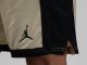 Шорты Jordan Sport Dri-FIT Men's Basketball Shorts / rattan, black