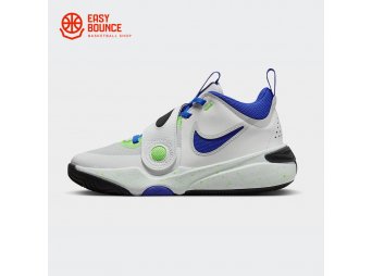 Кроссовки Nike Team Hustle D 11 / white, blue