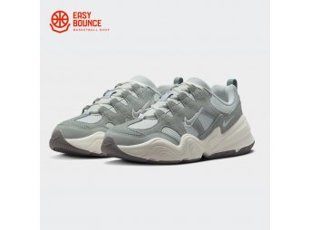 Кроссовки Nike Tech Hera / light silver, sail