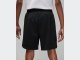 Шорты Jordan Dri-FIT Sport BC Mesh Shorts / black, white