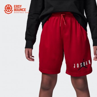Шорты Air Jordan Essentials Graphic Mesh Short / red