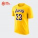 Футболка Nike NBA Los Angeles Lakers James Tee / amarillo