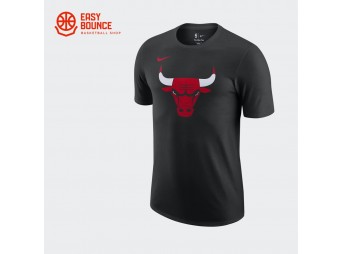 Футболка Nike NBA Chicago Bulls Essential T-Shirt / black