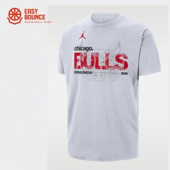 Футболка Air Jordan NBA Chicago Bulls Courtside '85  Statement T-Shirt / white