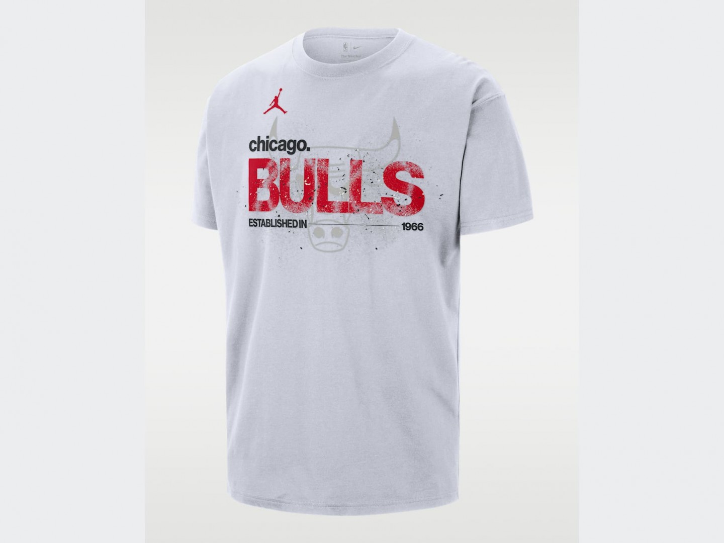 Футболка Air Jordan NBA Chicago Bulls Courtside '85  Statement T-Shirt / white