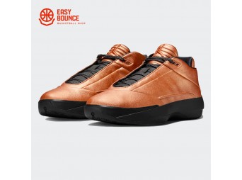 Кроссовки Air Jordan 40 SL / metallic copper