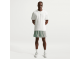 Шорты Nike Standard Issue 5" Practice Mesh Basketball Shorts / green