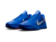Кроссовки Nike Kobe 5 Protro "Dodgers" / hyper royal