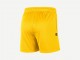 Шорты Nike Golden State Warriors Standard Issue Dri-FIT Mesh Shorts / amarillo