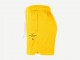 Шорты Nike Golden State Warriors Standard Issue Dri-FIT Mesh Shorts / amarillo