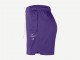 Шорты Nike Los Angeles Lakers Standard Issue Dri-FIT Mesh Shorts / field purple
