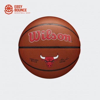 Мяч Wilson NBA Team Alliance Chicago Bulls