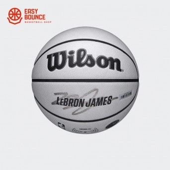 Мяч Wilson NBA Player Icon UV Lebron