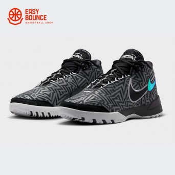 Кроссовки Nike Zoom LeBron NXXT Genisus / black, anthracite