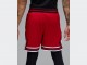 Шорты Air Jordan Dri-FIT Mesh Diamond Shorts / gym red, white, black