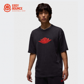Футболка Air Jordan Rare Logo T-Shirt / black, chile red