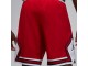 Шорты Air Jordan Dri-FIT Woven Diamond Shorts / red, white